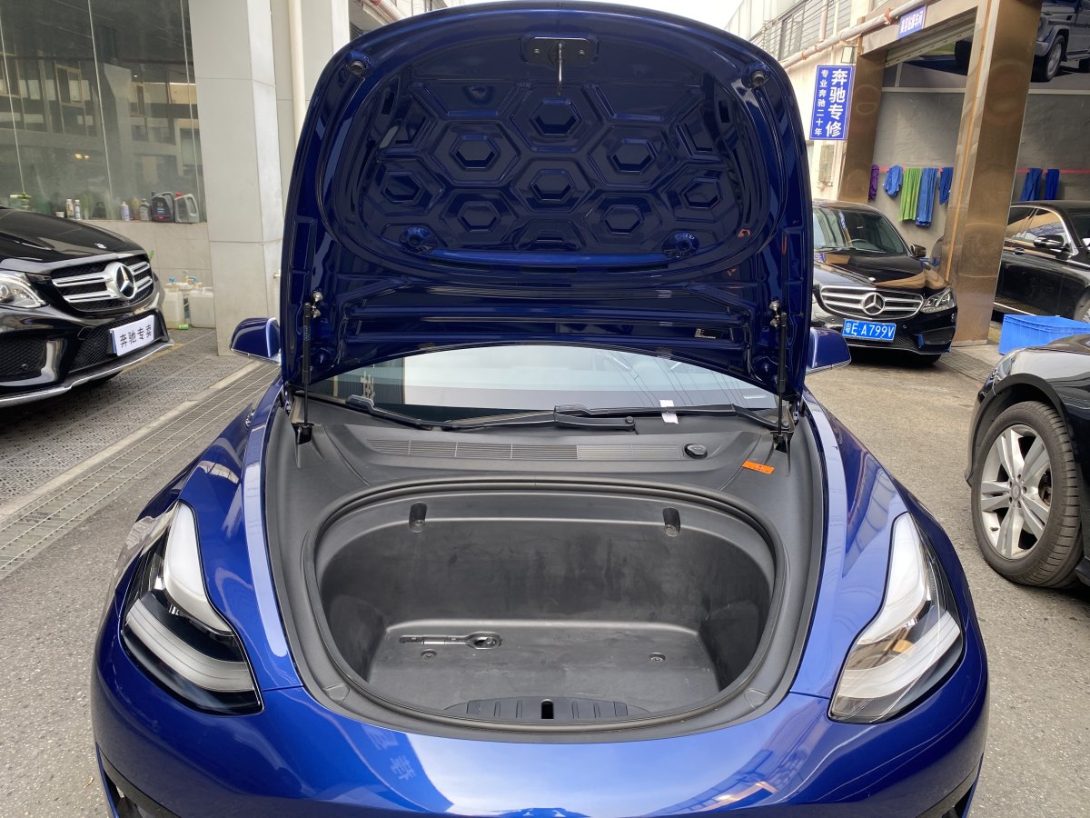 特斯拉 Model 3  2019款 標(biāo)準續(xù)航后驅(qū)升級版圖片