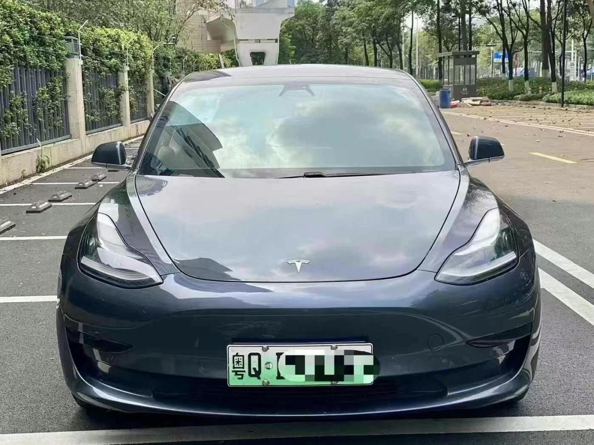 特斯拉 Model 3  2019款 長續(xù)航后驅(qū)版圖片