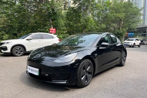 Model 3 特斯拉 改款 標(biāo)準(zhǔn)續(xù)航后驅(qū)升級版