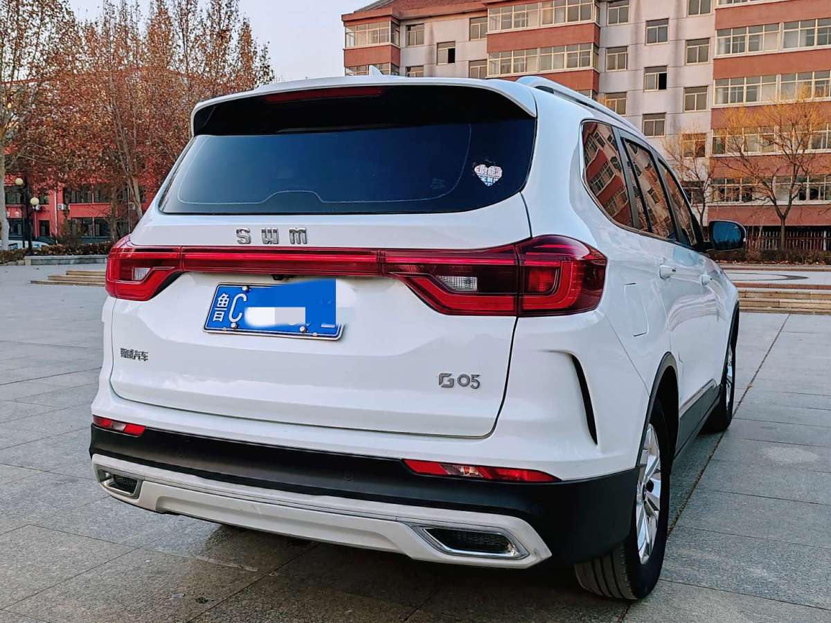 SWM斯威 G05  2019款 2.0L 手動豪華型圖片