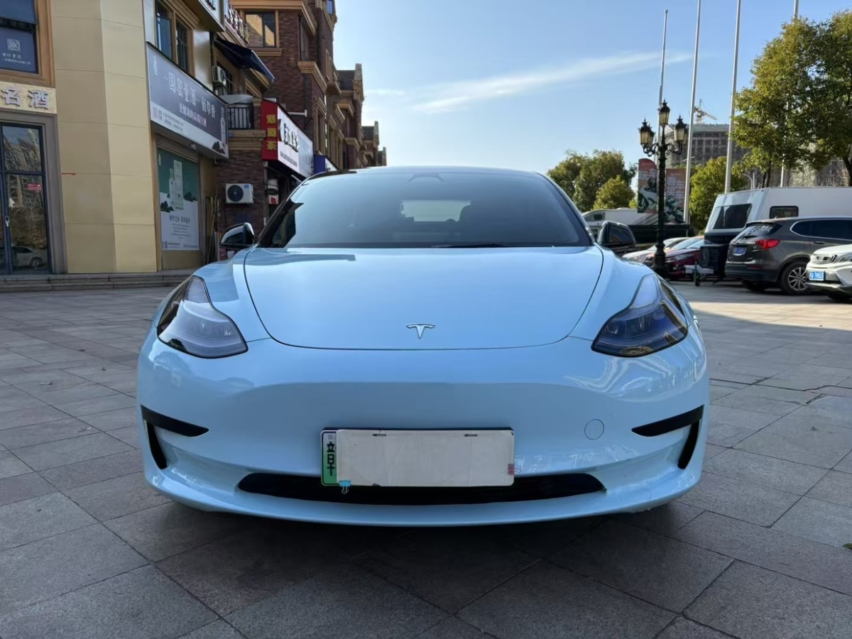 特斯拉 Model 3  2022款 后輪驅(qū)動版圖片