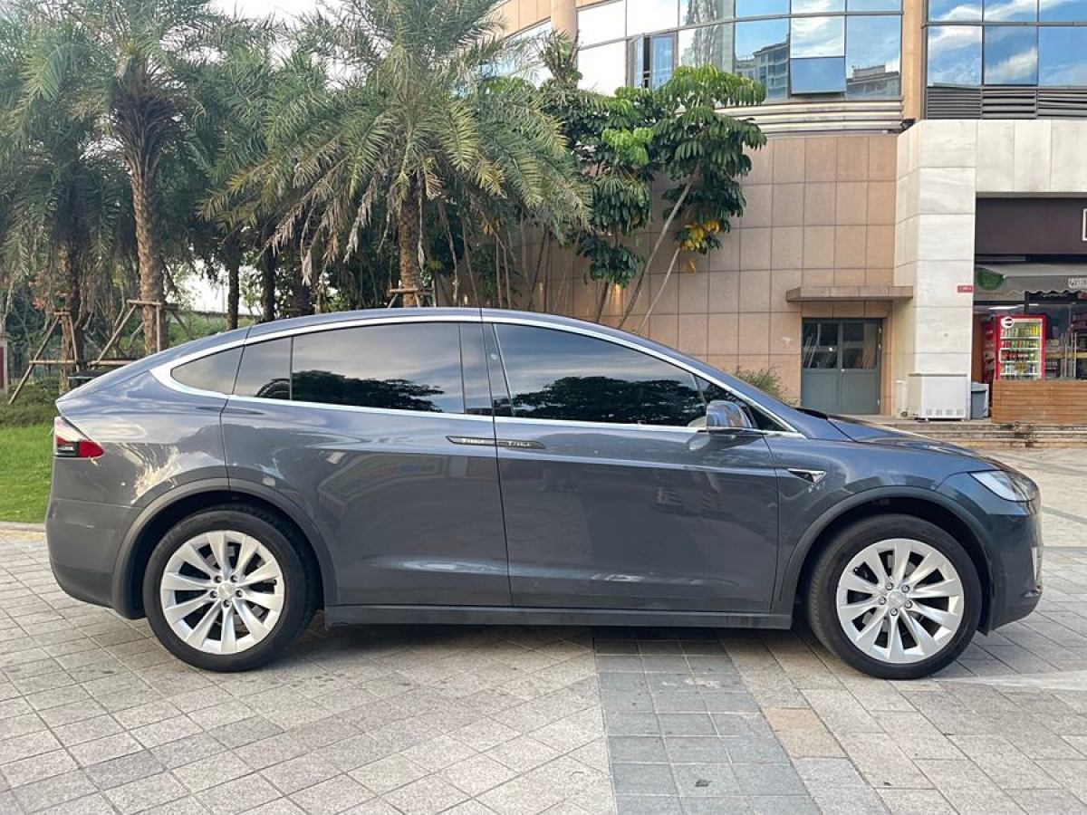 特斯拉 Model X  2019款 長續(xù)航版圖片