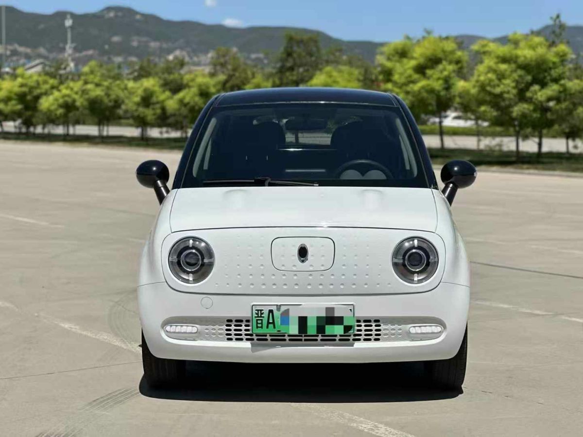 歐拉 歐拉白貓  2020款 305km 公務(wù)版圖片