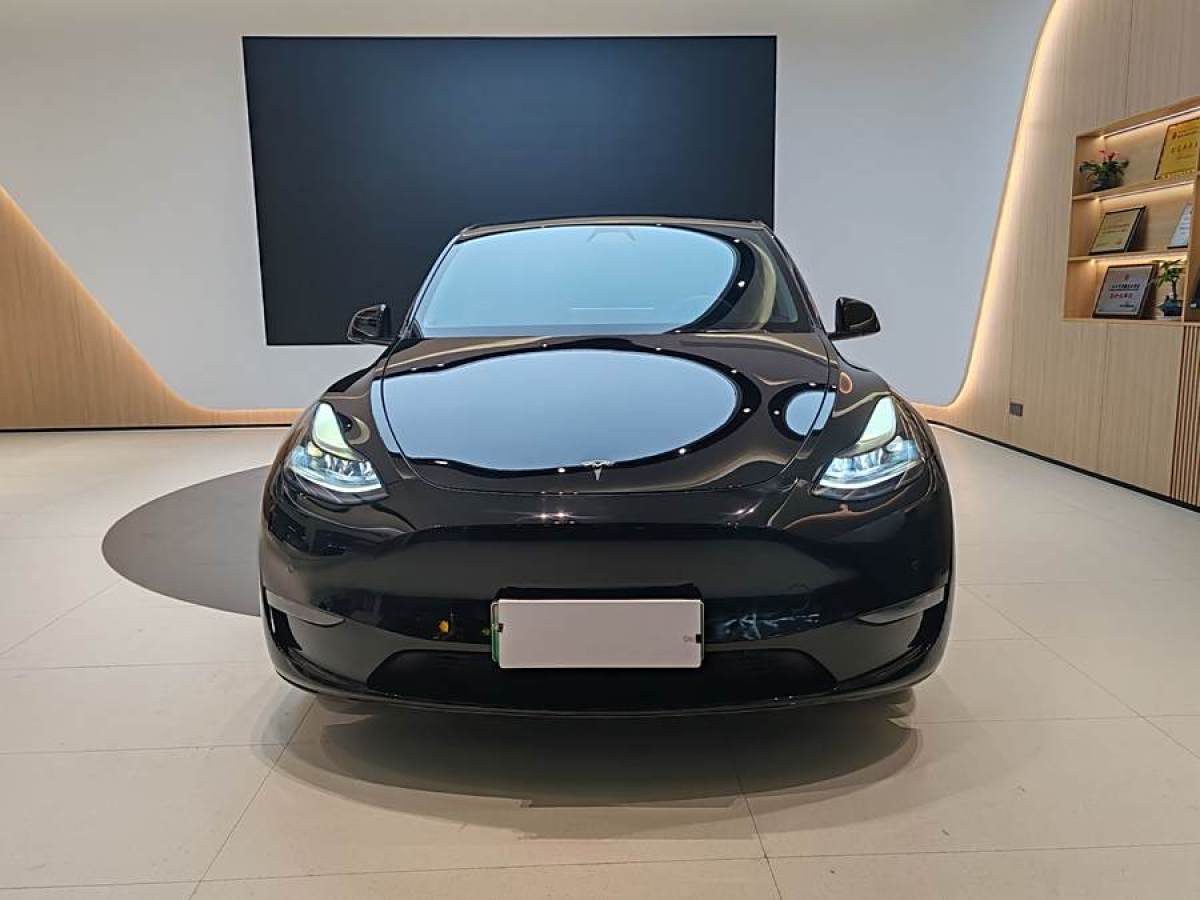 特斯拉 Model Y  2021款 改款 標準續(xù)航后驅(qū)升級版圖片