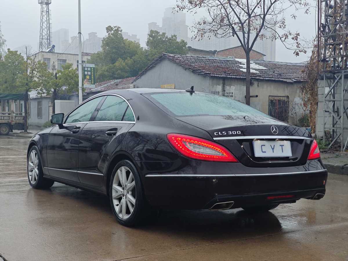 奔馳 奔馳CLS級(jí)  2012款 CLS 300 CGI圖片