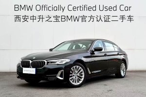 寶馬5系 寶馬 525Li 豪華套裝