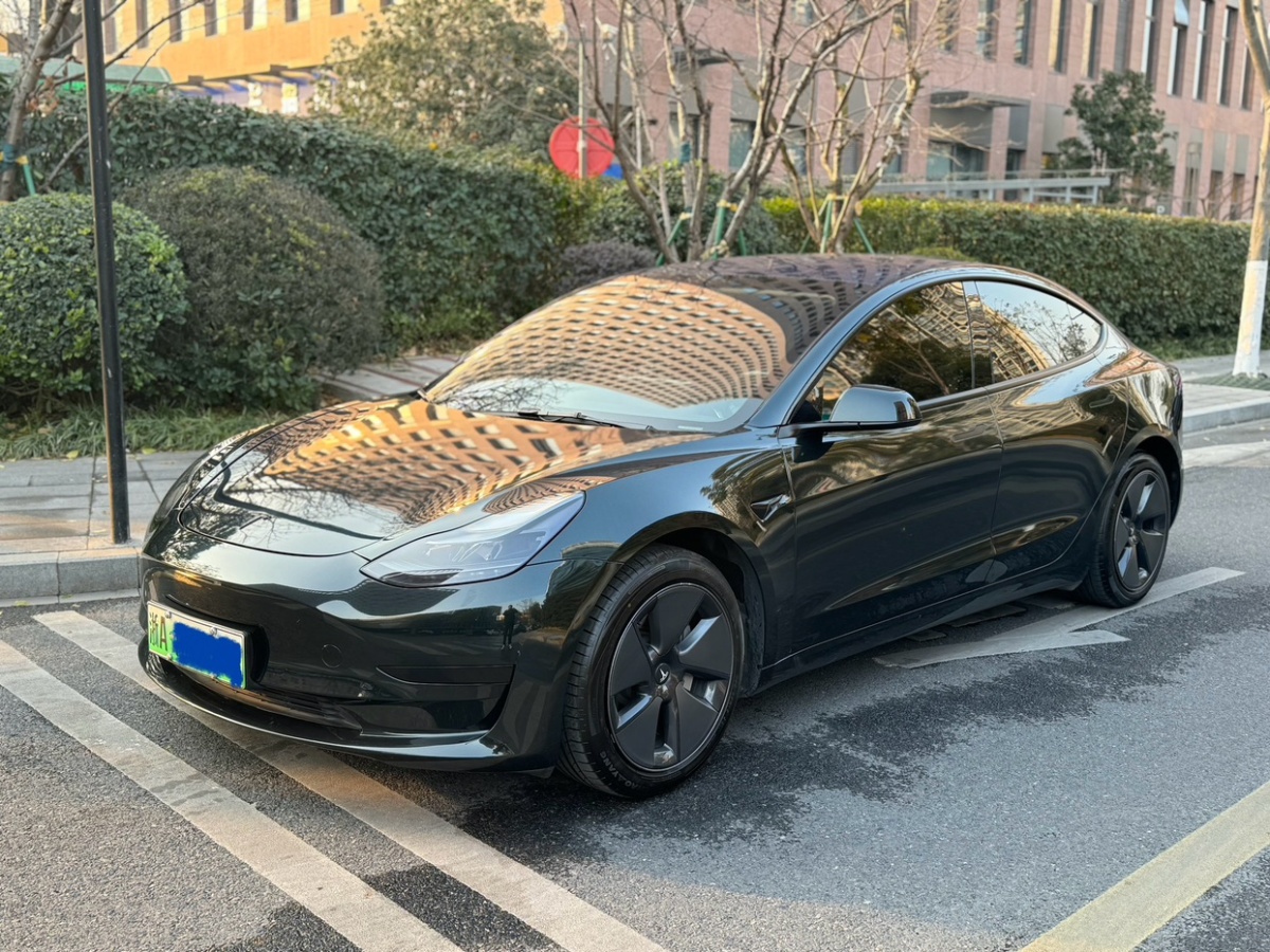 特斯拉 Model 3  2021款 標準續(xù)航后驅升級版 3D6圖片