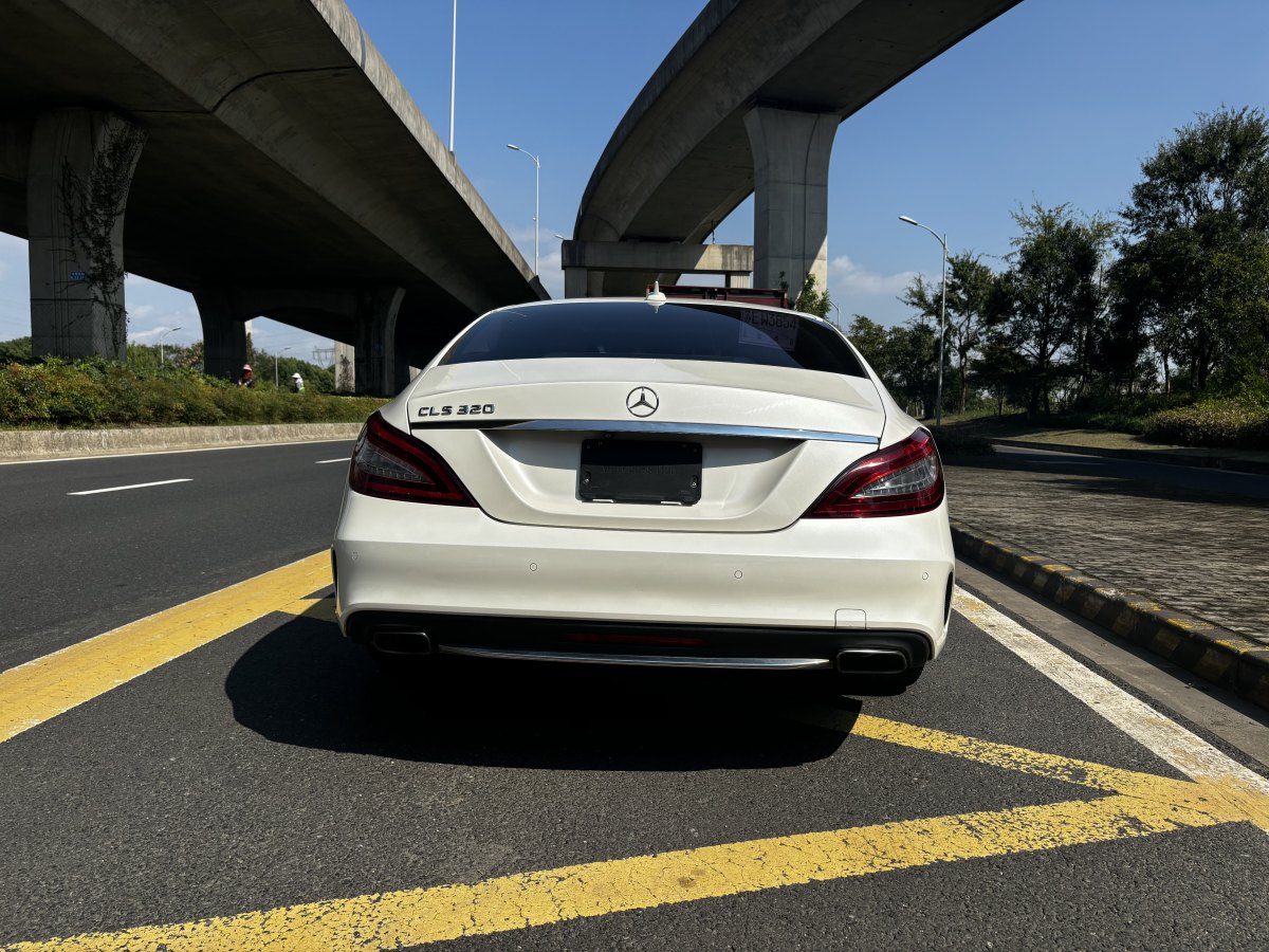 奔馳 奔馳CLS級(jí)  2015款 CLS 320圖片