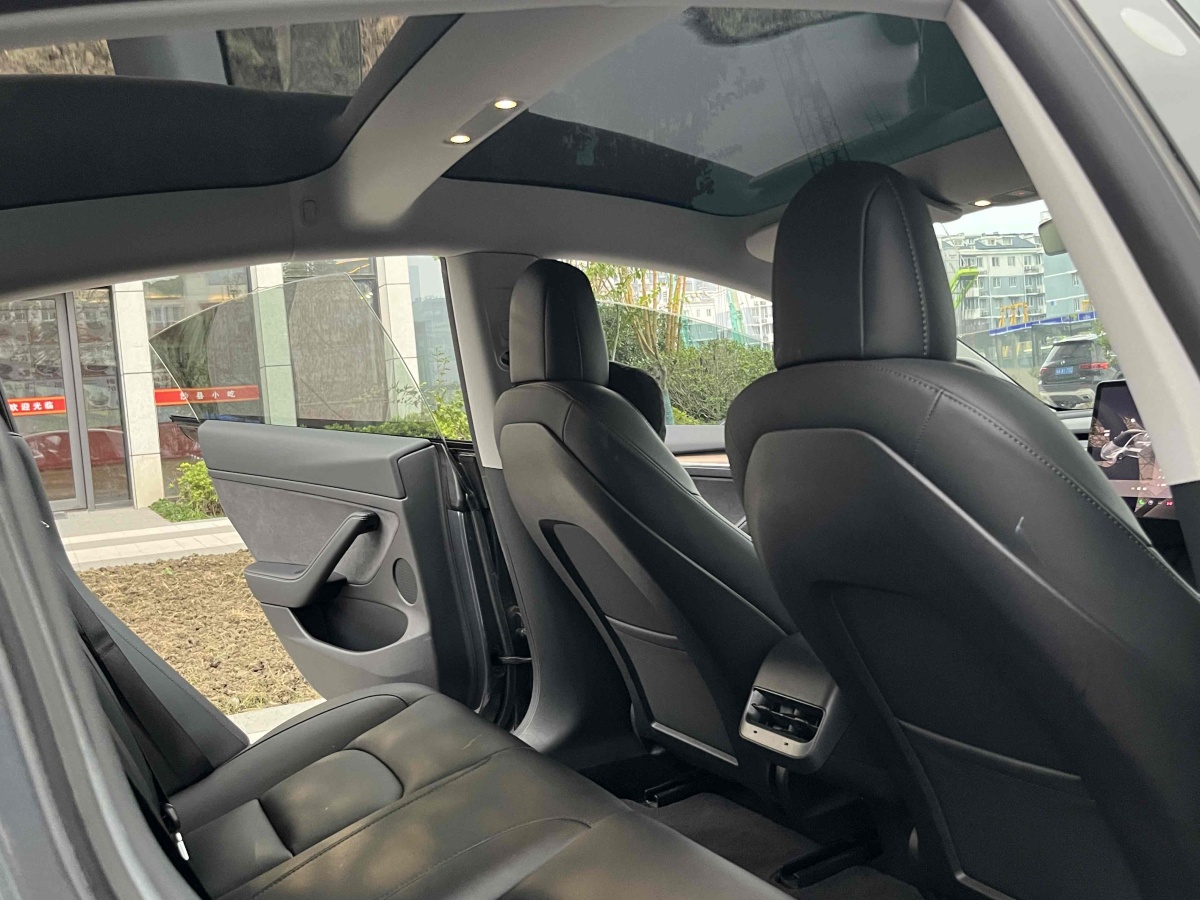 特斯拉 Model Y  2021款 標(biāo)準(zhǔn)續(xù)航后驅(qū)升級(jí)版 3D6圖片