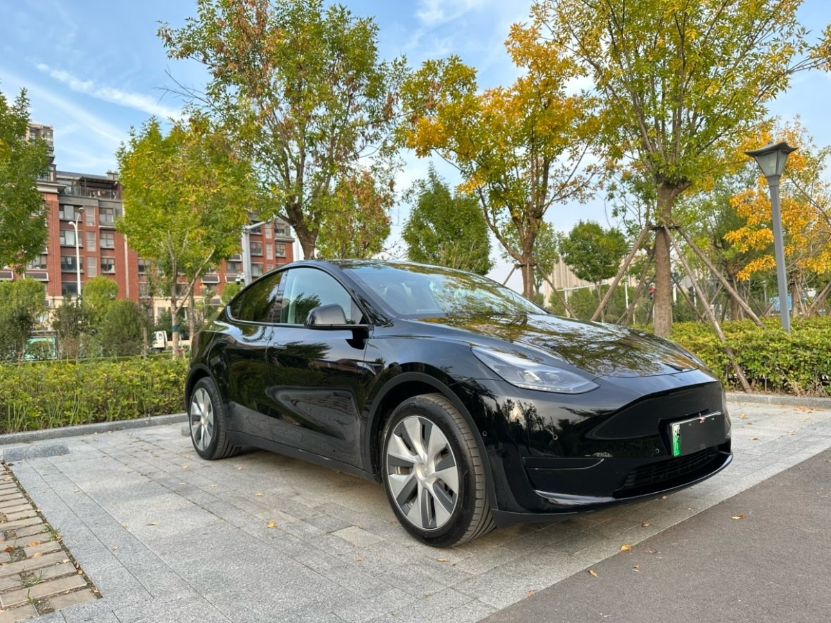 特斯拉 Model 3  2022款 后驅(qū)版圖片