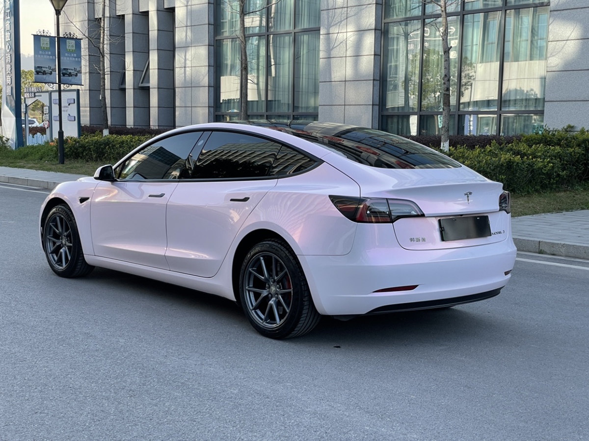 特斯拉 Model 3  2022款 后輪驅(qū)動版圖片