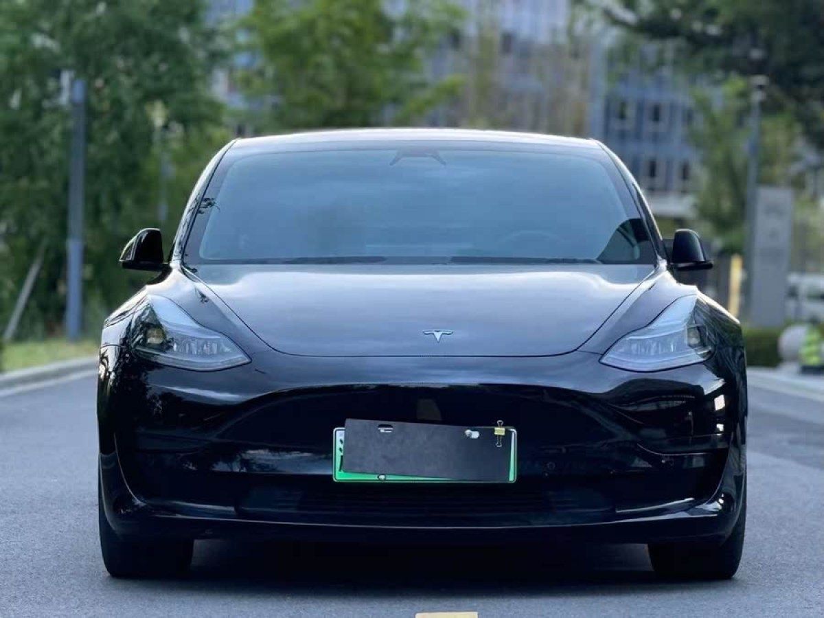 特斯拉 Model 3  2021款 改款 標準續(xù)航后驅(qū)升級版圖片