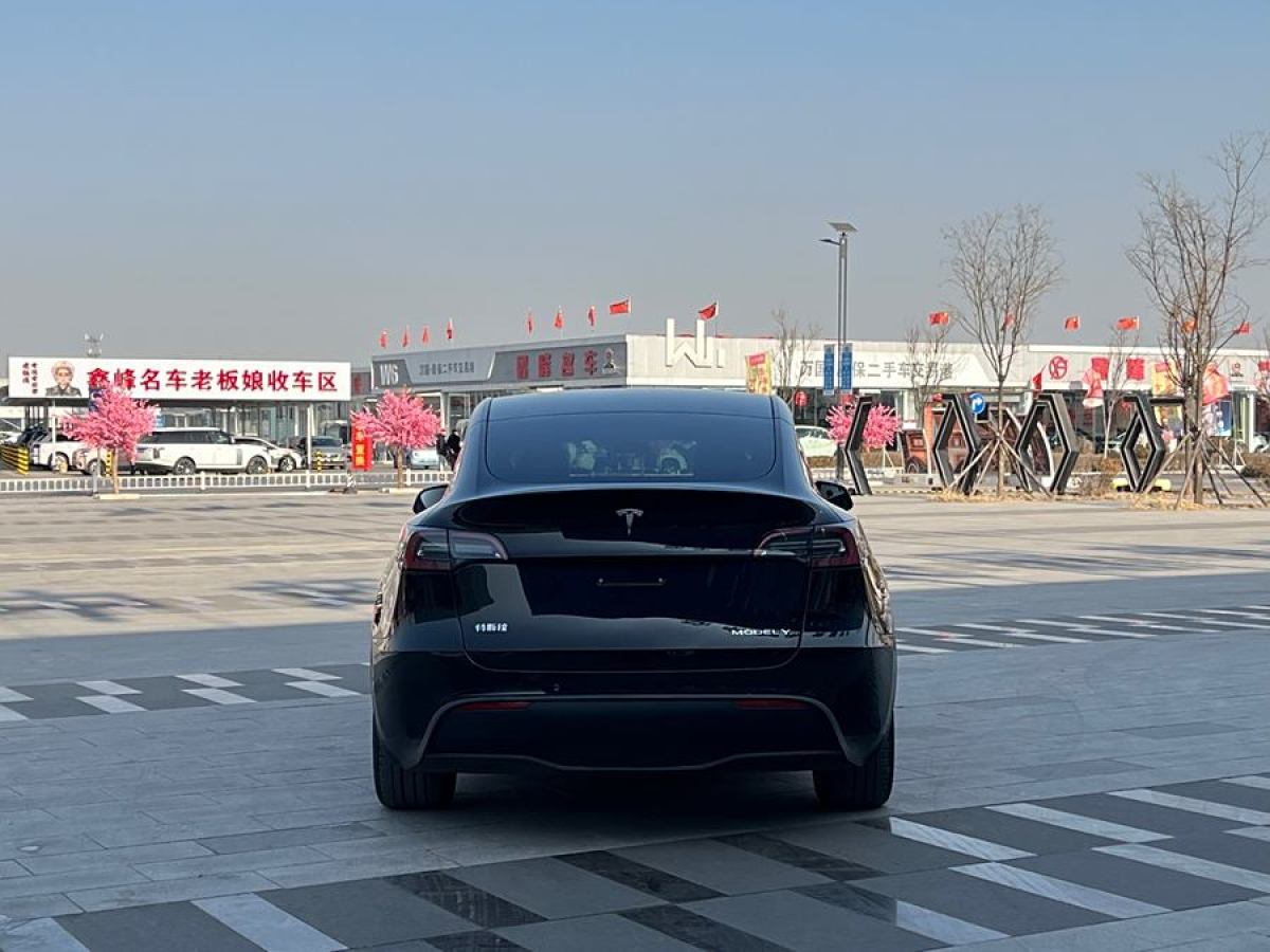 特斯拉 Model 3  2022款 后輪驅(qū)動(dòng)版圖片