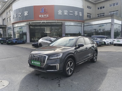 奥迪 Q2L e-tron e-tron 纯电智享型图片