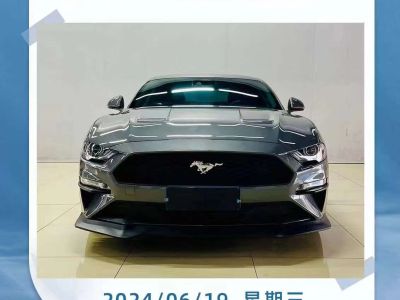2024年6月 福特 Mustang Mach-E(进口) GT图片