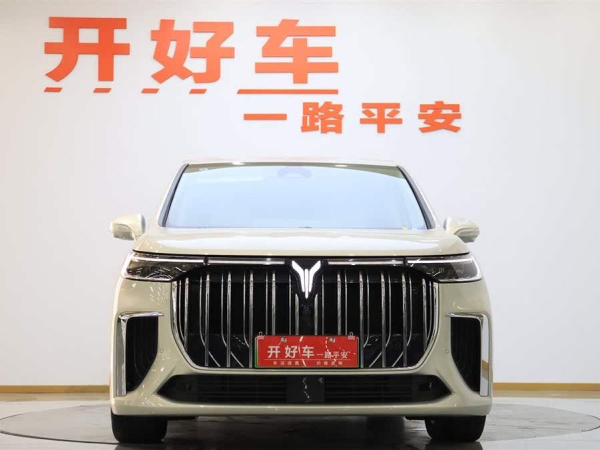 嵐圖 夢(mèng)想家  2024款 PHEV 超長(zhǎng)續(xù)航尊貴版圖片