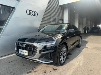 2023年12月 奧迪 奧迪Q8(進口) 55 TFSI 豪華動感型圖片