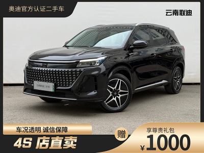 2023年6月 賽力斯 藍(lán)電E5 1.5L DE-i 110KM旗艦型 7座圖片