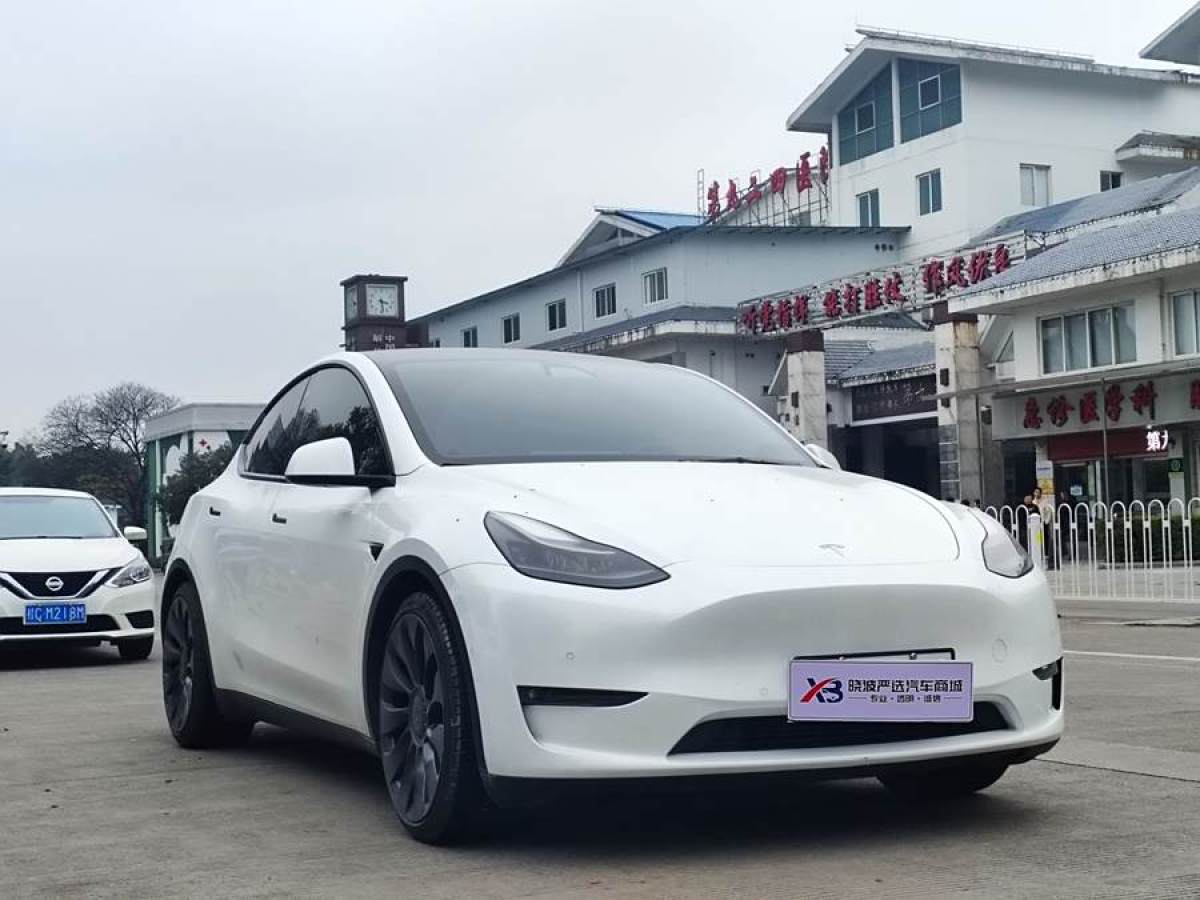 特斯拉 Model 3  2021款 改款 Performance高性能全輪驅(qū)動(dòng)版圖片