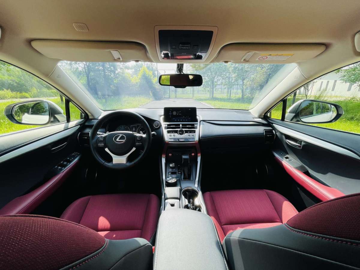 Lexus NX2018 200 Forward Edition V图片