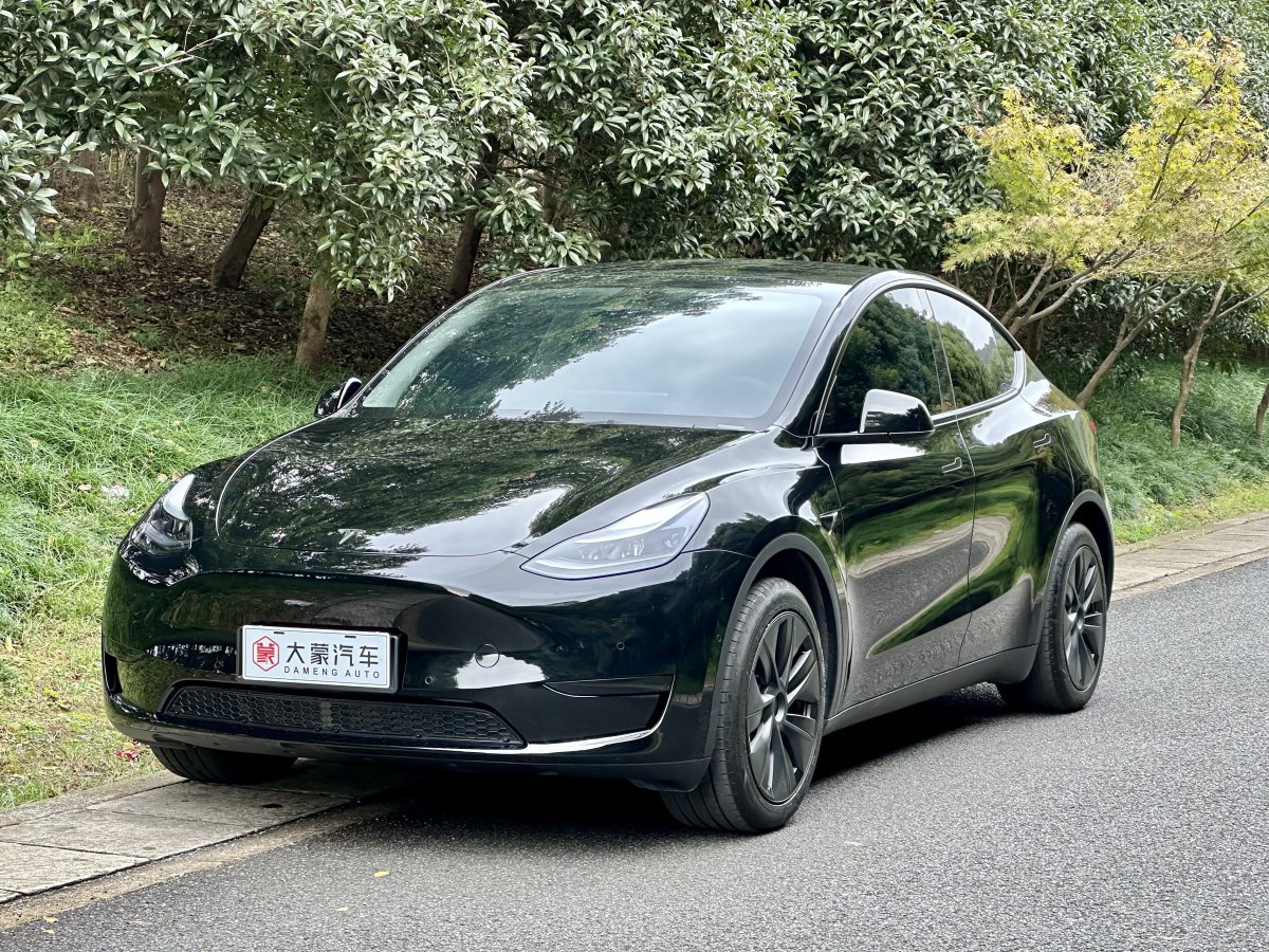 特斯拉 Model Y  2023款 煥新版 后輪驅(qū)動圖片