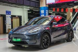 Model Y 特斯拉 改款 長(zhǎng)續(xù)航全輪驅(qū)動(dòng)版