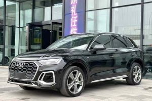 奥迪Q5 e-tron 奥迪 40 e-tron 星耀型 机甲套装