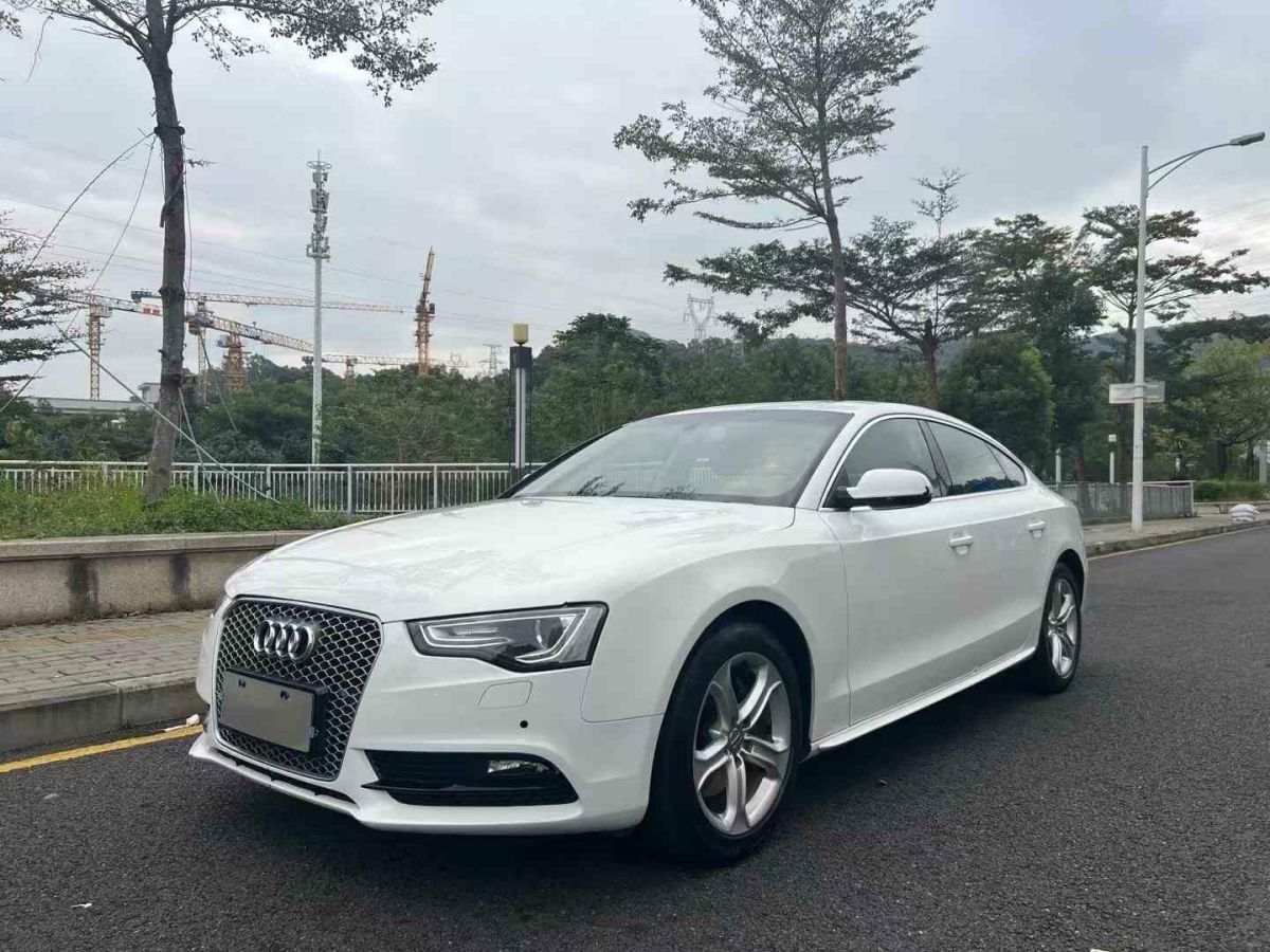 奧迪 奧迪Q5  2015款 40 TFSI 進(jìn)取型圖片