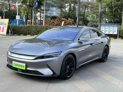 2021年5月 比亚迪 汉 EV 超长续航版尊贵型图片