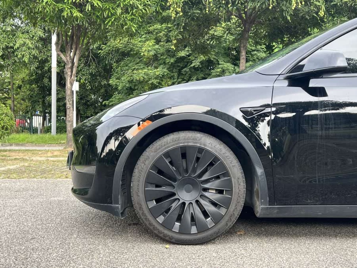 特斯拉 Model Y  2021款 標準續(xù)航后驅版圖片