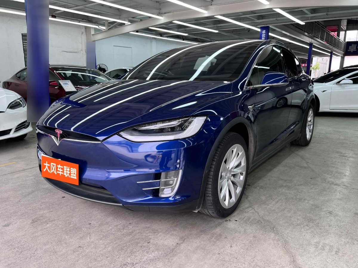 特斯拉 Model X  2019款 長續(xù)航版圖片