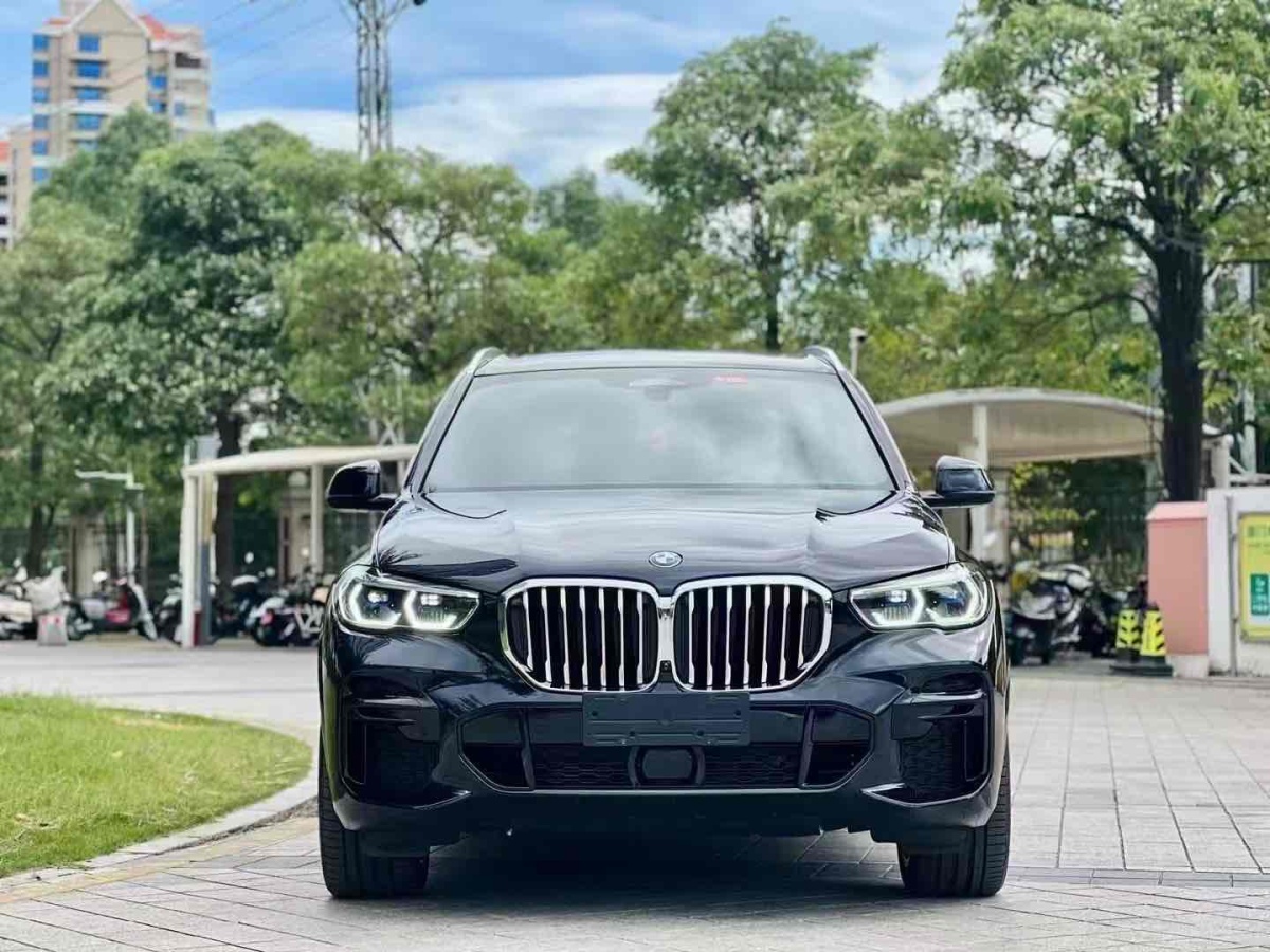 宝马 宝马X5  2022款 改款 xDrive 40Li M运动套装图片