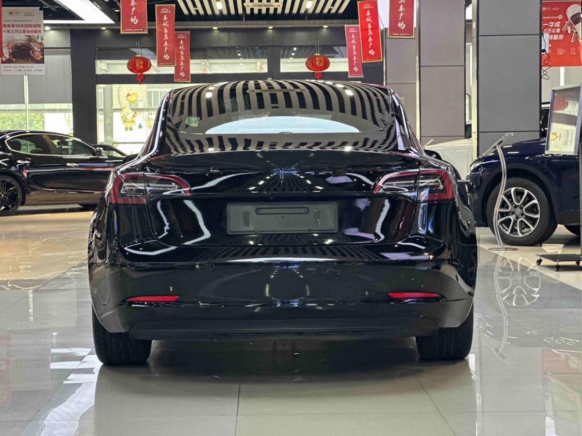 特斯拉 Model Y  2021款 標(biāo)準(zhǔn)續(xù)航后驅(qū)升級(jí)版 3D6圖片