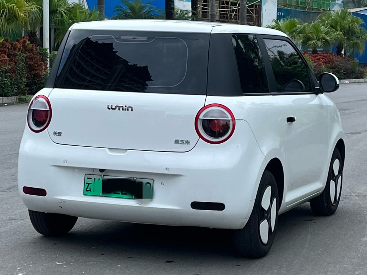 長(zhǎng)安 長(zhǎng)安Lumin  2022款 210km 香甜款圖片