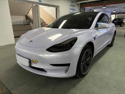 2020年4月 特斯拉 Model 3 標(biāo)準(zhǔn)續(xù)航后驅(qū)升級(jí)版圖片