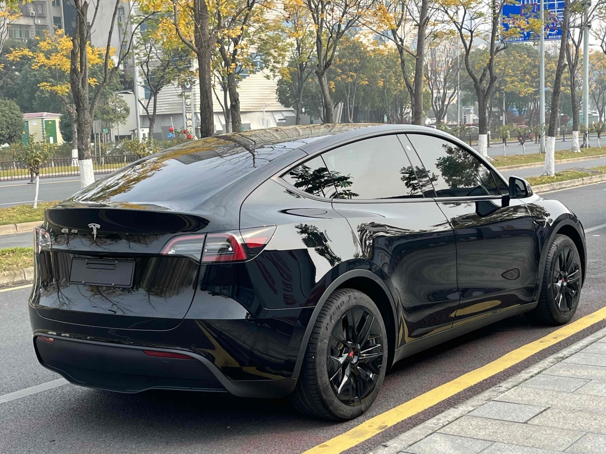 特斯拉 Model 3  2020款 改款 長續(xù)航后輪驅(qū)動版圖片