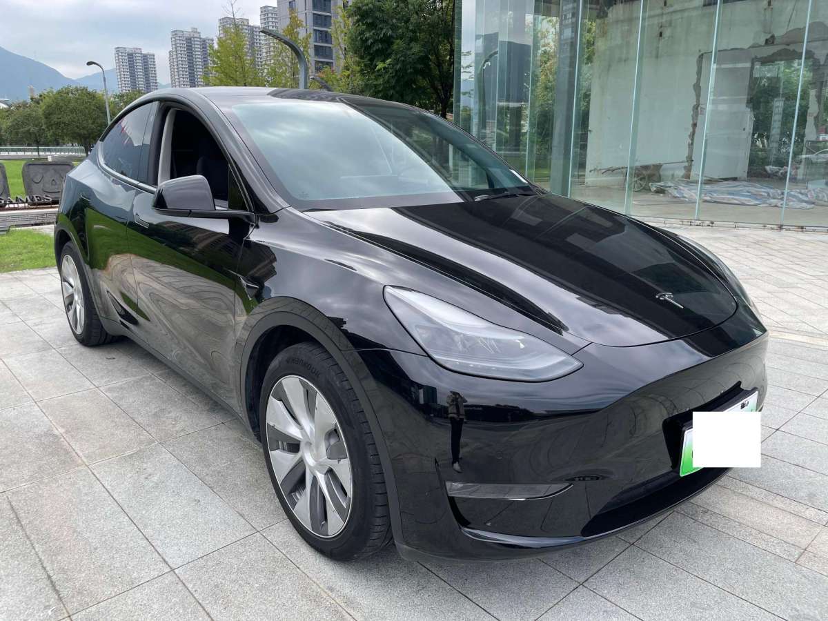 特斯拉 Model Y  2021款 改款 標(biāo)準(zhǔn)續(xù)航后驅(qū)升級(jí)版圖片