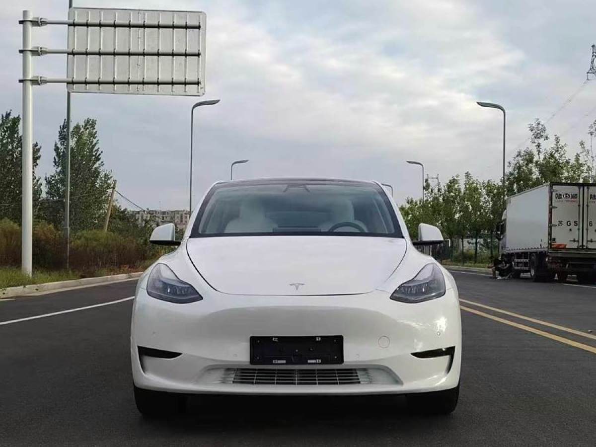 2022年11月特斯拉 Model 3  2022款 后輪驅(qū)動版