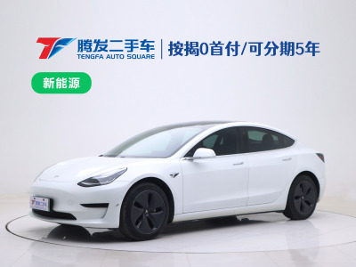 2020年6月 特斯拉 Model 3 標(biāo)準(zhǔn)續(xù)航后驅(qū)升級版圖片