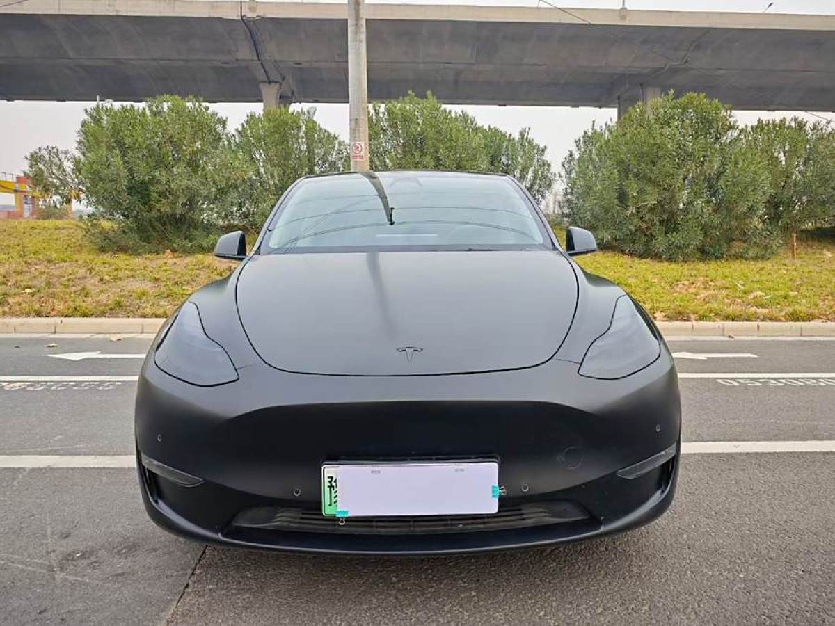 特斯拉 Model Y  2021款 改款 長(zhǎng)續(xù)航全輪驅(qū)動(dòng)版圖片