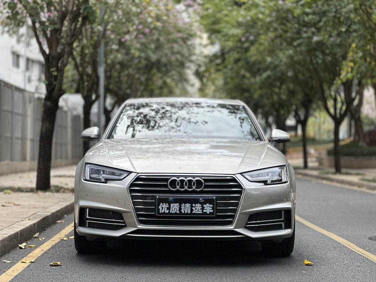 奧迪 奧迪A4L  2019款 40 TFSI 進取型 國V圖片