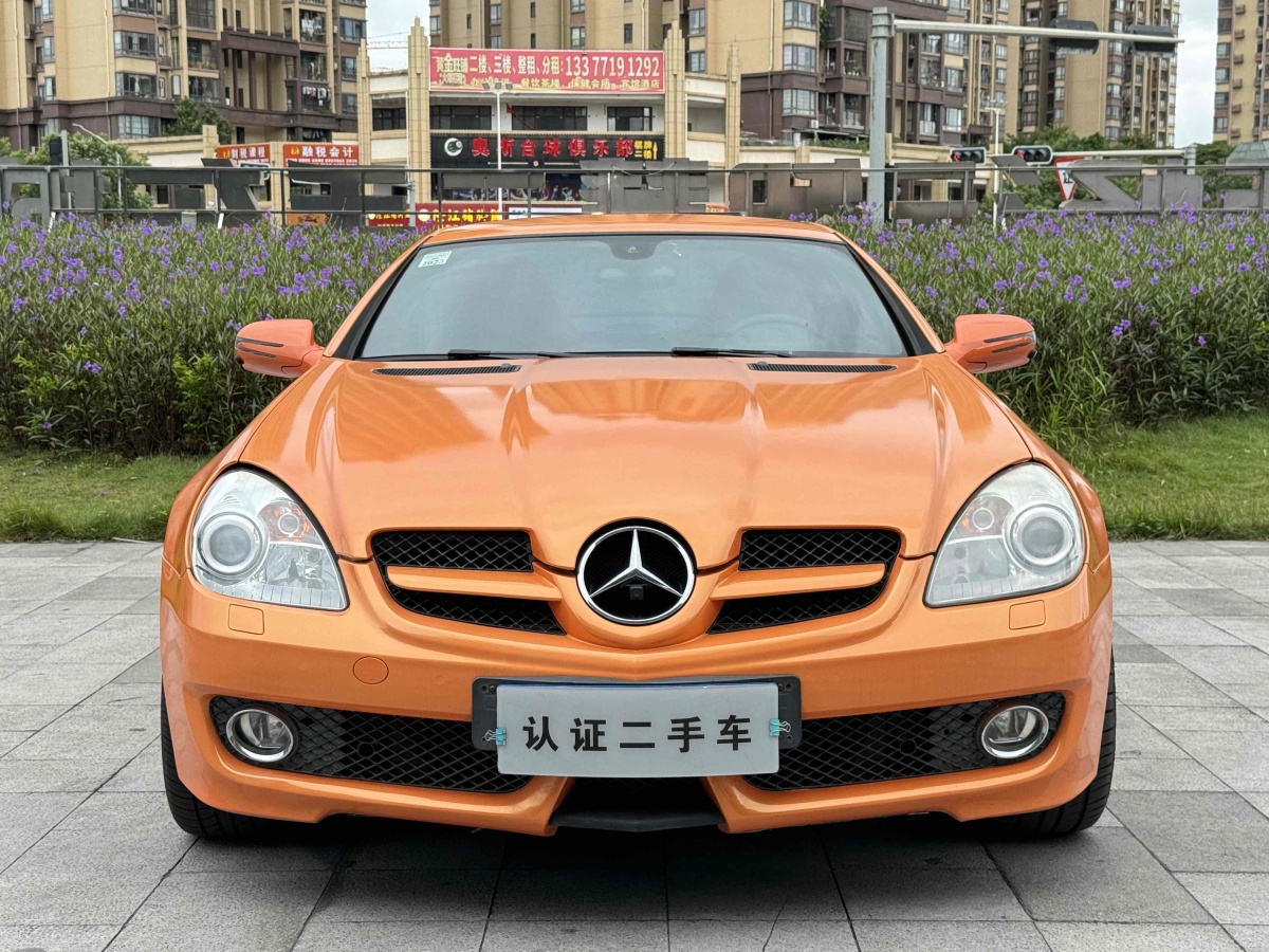 奔馳 奔馳SLK級(jí)  2009款 SLK 300圖片