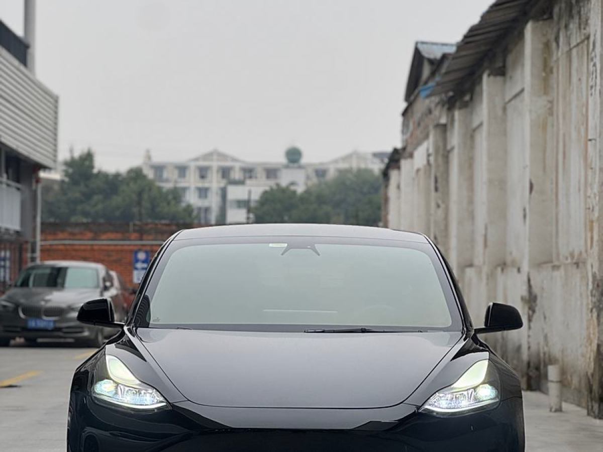 特斯拉 Model 3  2021款 改款 標(biāo)準(zhǔn)續(xù)航后驅(qū)升級(jí)版圖片