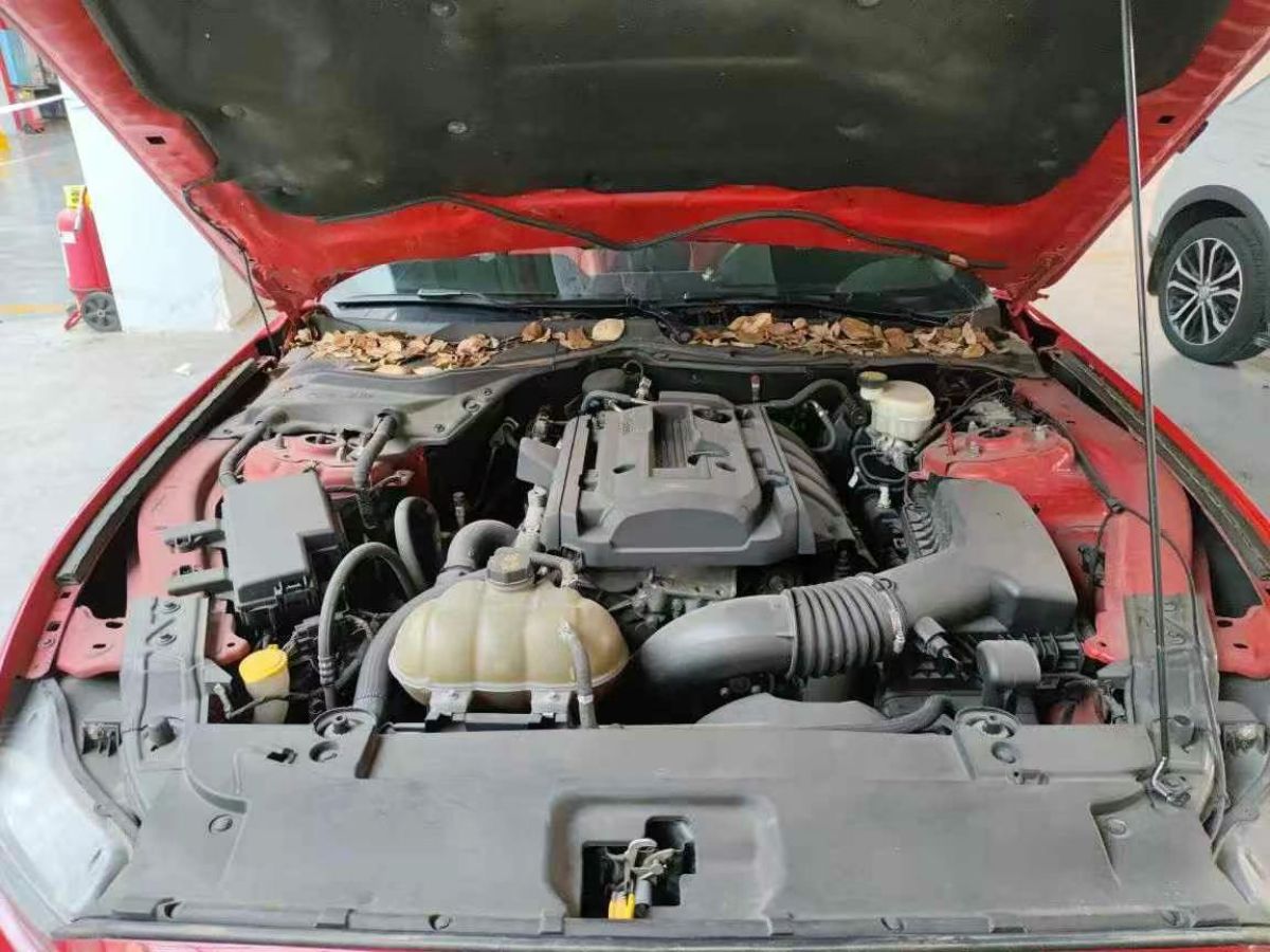 福特 Mustang  2017款 2.3T 性能版圖片