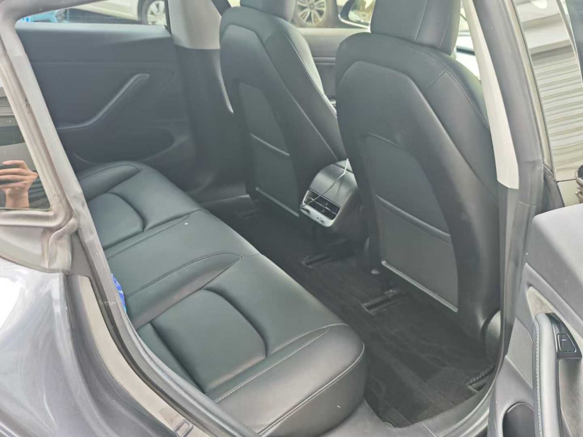 特斯拉 Model 3  2019款 長續(xù)航后驅(qū)版圖片