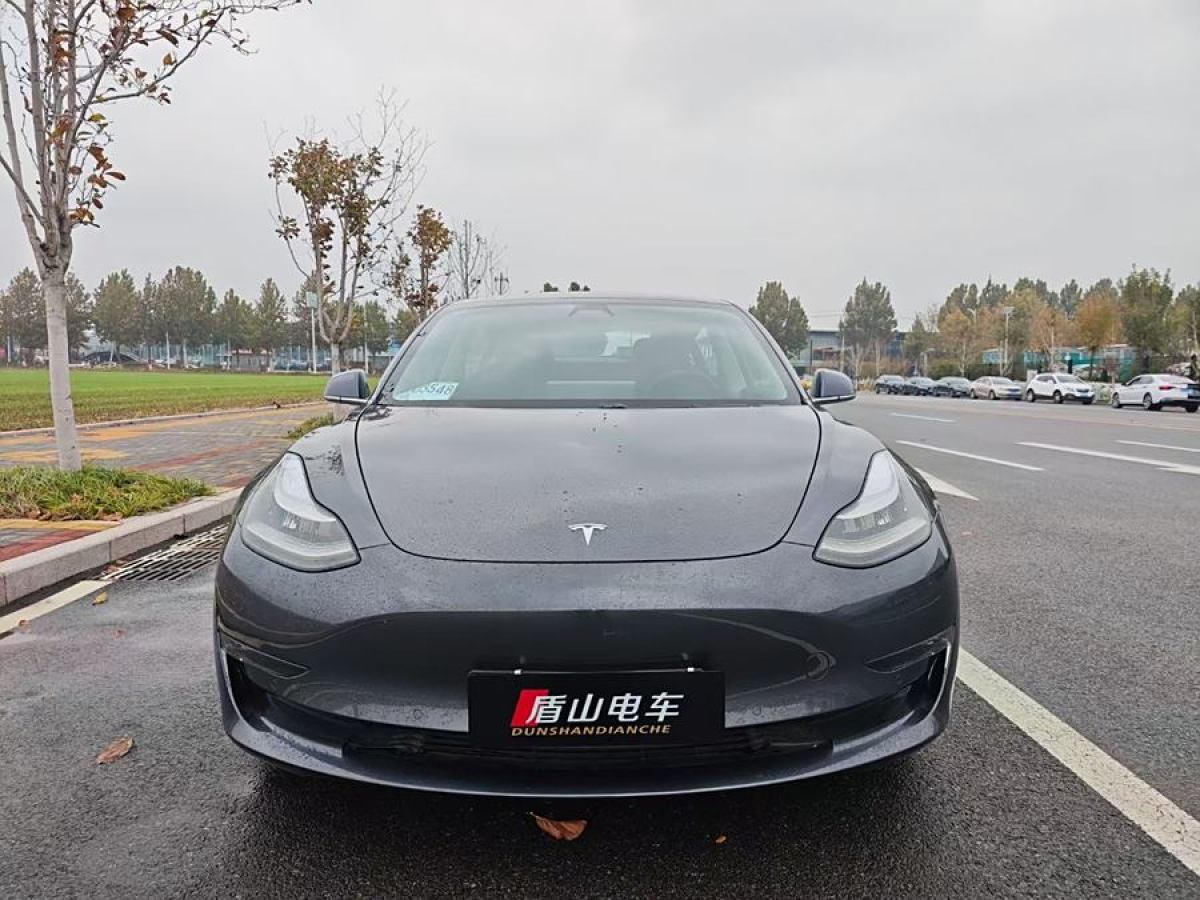 特斯拉 Model Y  2020款 改款 長(zhǎng)續(xù)航后輪驅(qū)動(dòng)版圖片