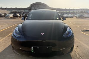 Model Y 特斯拉 后轮驱动版