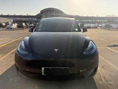 2022年6月 特斯拉 Model 3 后輪驅動版圖片