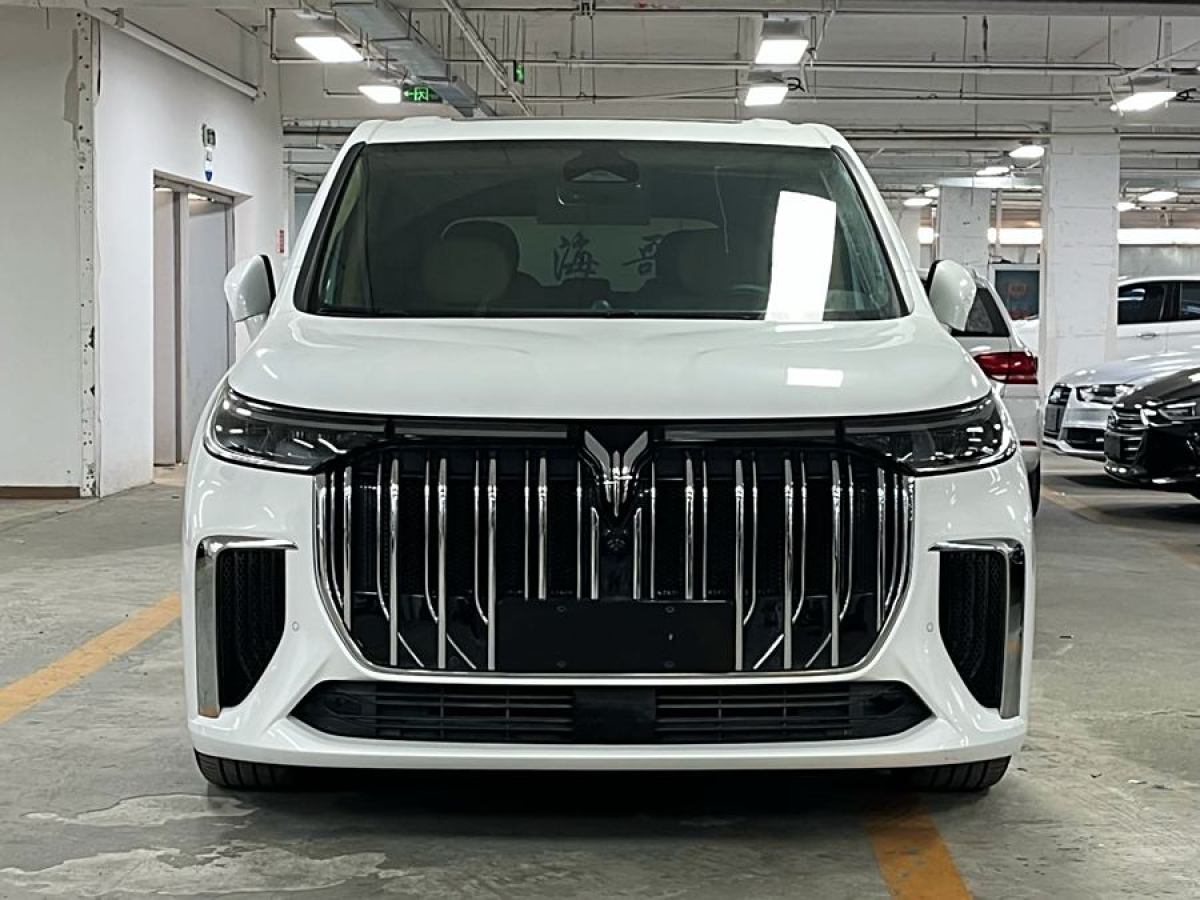 嵐圖 夢(mèng)想家  2024款 PHEV 超長(zhǎng)續(xù)航旗艦版圖片