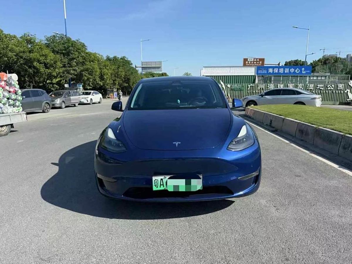 特斯拉 Model Y  2021款 改款 長(zhǎng)續(xù)航全輪驅(qū)動(dòng)版圖片